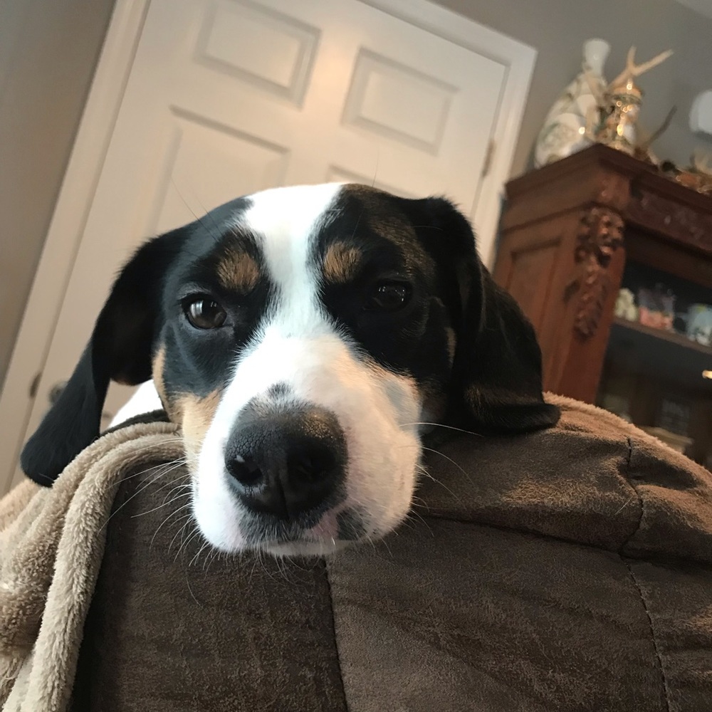 Meet your Posher, Nakiya